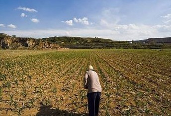 第二次土地调查成果将发布 土改步伐加快