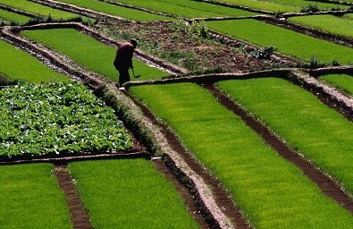 赋权、公平、平稳——土地制度改革三个核心点