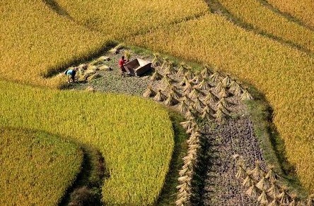 我国城乡建设用地有望同地同权同价