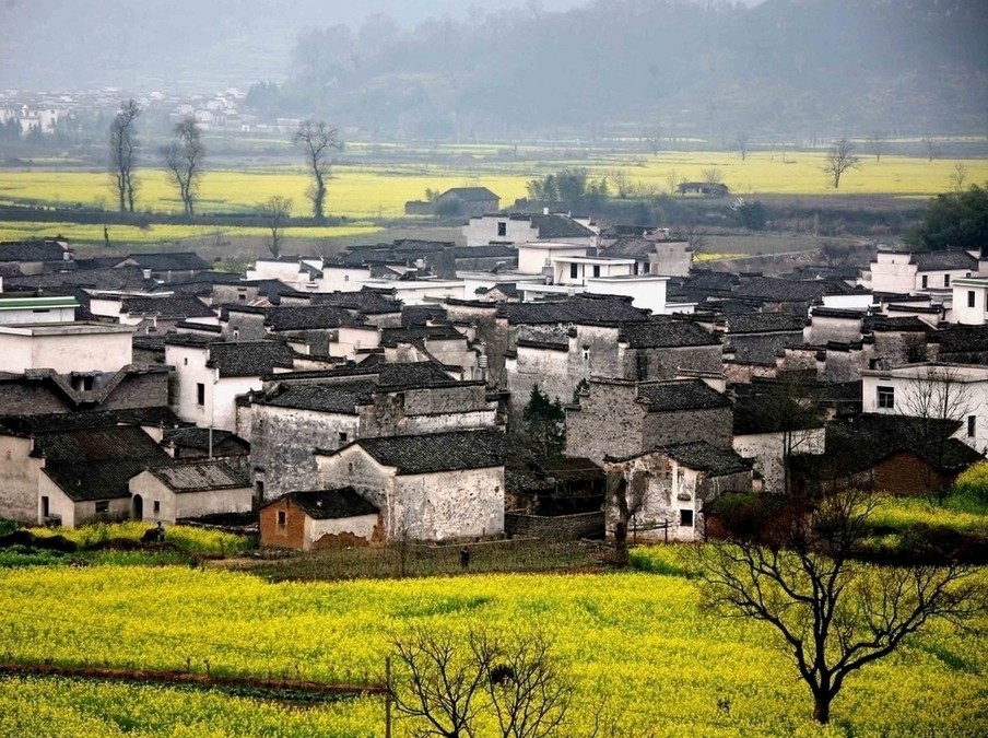 住建部官员：农村房屋不应纳入房产税征收范围