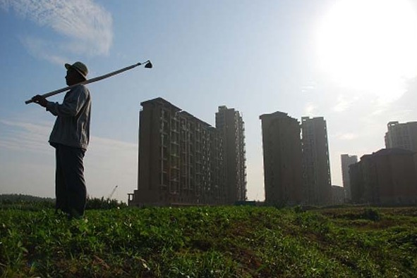 发挥农村产权交易市场在规范农地流转中的作用