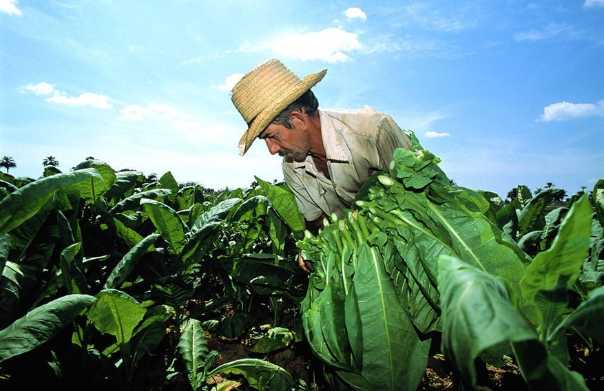 农业部发布2014年农业农村经济工作意见