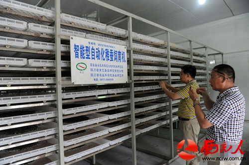广西壮族自治区宜州市丝绸客商考察自动化养蚕机