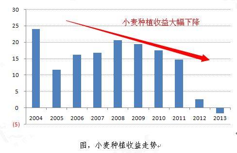 2015年我国小麦播种面积预计下降0.7%