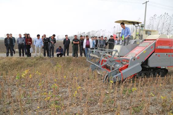 4lzd-2.0大豆联合收割机在安徽淮北大豆产区成功试验