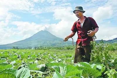 受草甘膦价格低迷等因素影响 Nbsp 中化国际15年上半年农药营收下降7 农药助手 新农资360网 土壤改良 果树种植 蔬菜种植 种植示范田 品牌展播 农资微专栏