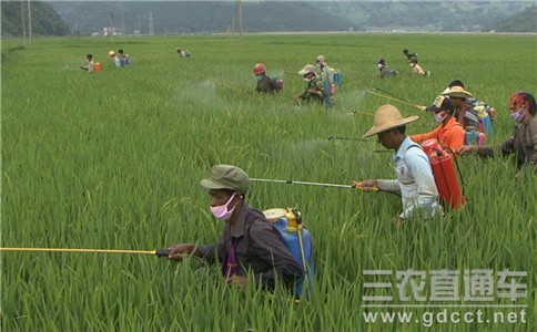 农药登记申请将进行集中评审