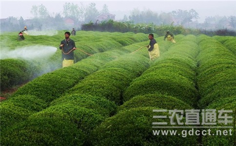 新环保法：使用禁用农药将严处