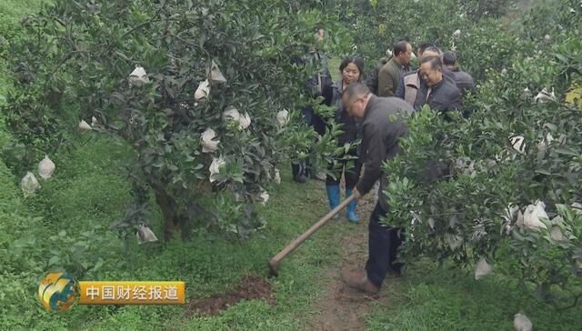 CCTV-2财经频道报道《造田高手的秘密》