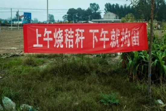 河南打击焚烧秸秆 路上雷人标语频现5.jpg