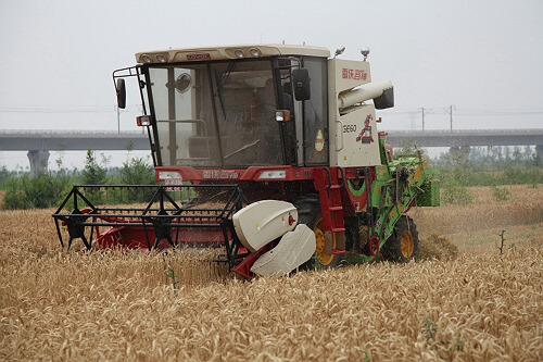 小麦籽粒收获及秸秆打捆一体化技术试验成功.jpg