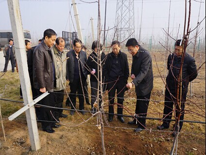 全国首个“果园机械化示范基地”落户宝鸡市千阳县.jpg