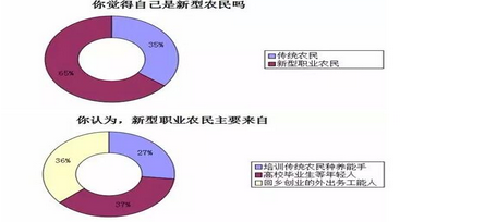 中国农业现代化的真相：来自基层的调查报告12.png