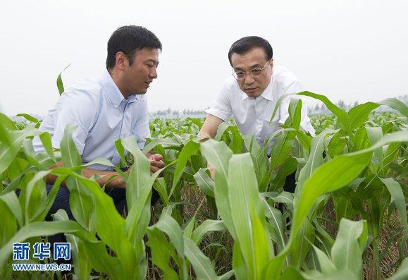 山东省碳氢农业定向种植观摩大会5月21日将闪亮登场