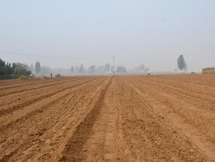 土壤结构调理剂与保水剂技术研究与示范项目拟在我市大面积推广