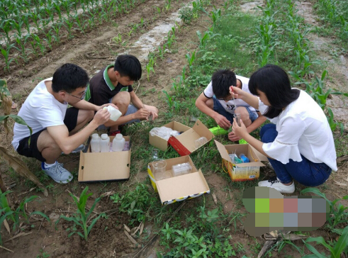 聊城大学关注农村土壤问题致力生态文明