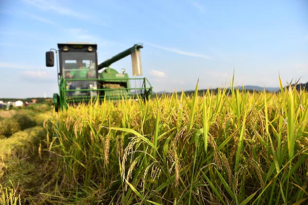 短评：2016年水稻联合收割机市场的变化趋势.jpg