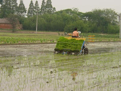 水稻生产全程机械化.jpg