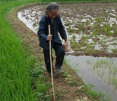 闲不住的农村人，活到老干到老