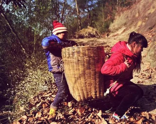 那些年，在农村吃过的苦，看哭了！