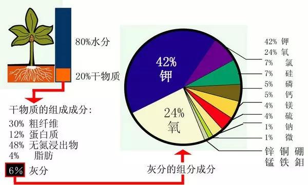 史上最全肥料知识 ！