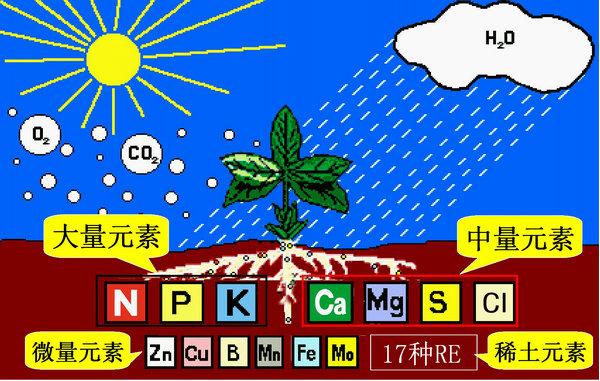 史上最全肥料知识 ！