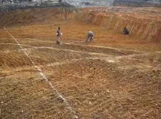 【干货】重金属污染土壤修复技术