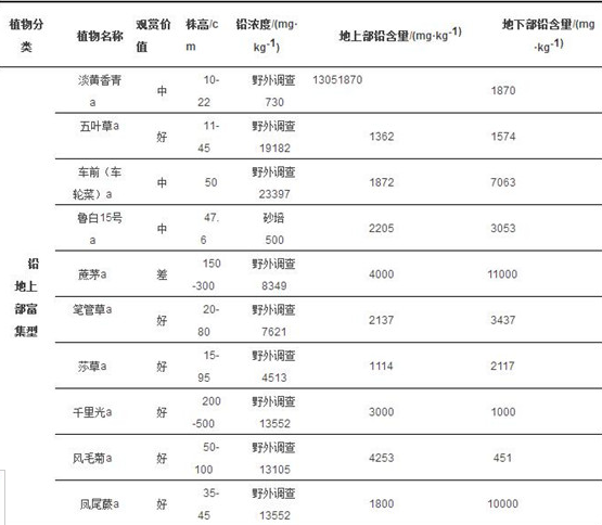 植物实现铅污染土壤修复 哪些合适的植物可以选择？