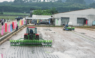 机直播或可补水稻机械化种植短板.jpg