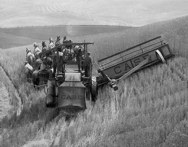 case-ih-historical_combines_harvesting_equipment-historical.jpg