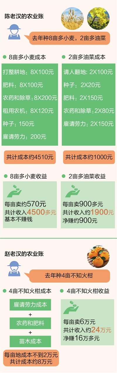 探路供给侧·怎么种.jpg