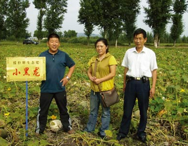 土壤与农民渴望生态肥