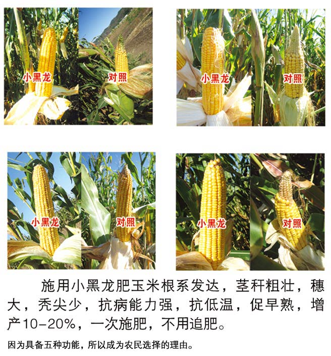 信任源自真实效果，务农人都懂的！