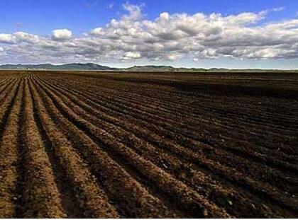 果园生草改良土壤 生态环保促农增收 获国家农业部认可