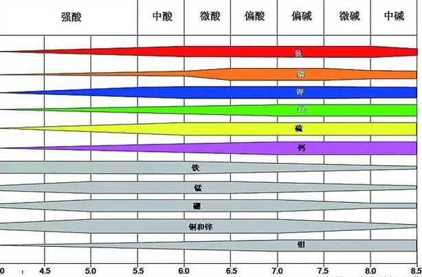 土壤酸化致使养分流失！改良方法不难掌握