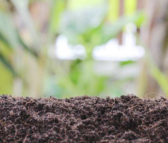 土壤修复势在必行 需解决哪些关键问题？