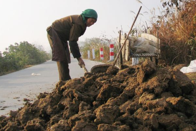 “土地是农民的根”土壤恶化严重，农家肥改善土质！如何算发酵好