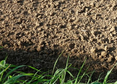怎样改良土壤？记住这几个简单步骤，提高土壤肥力！