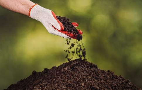 土壤改良，这6件事一定要做好！第一件最重要！