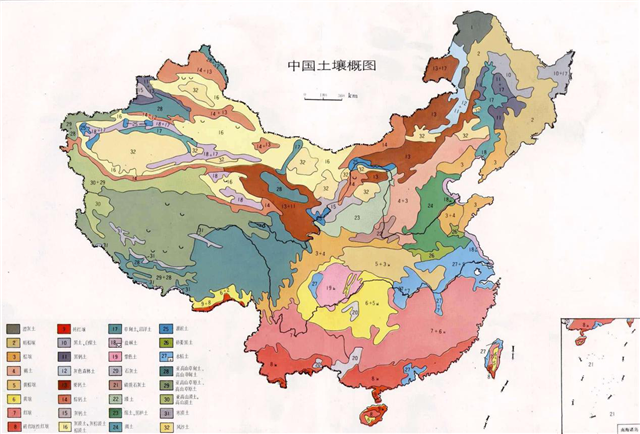 碳氢科学1200问之006组：从环球褐藻门到中国寒冷期