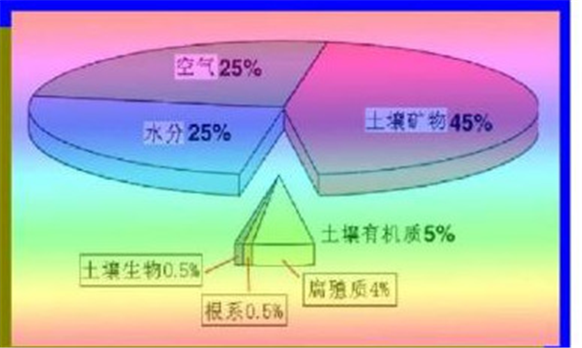 碳氢科学1200问之006组：从环球褐藻门到中国寒冷期