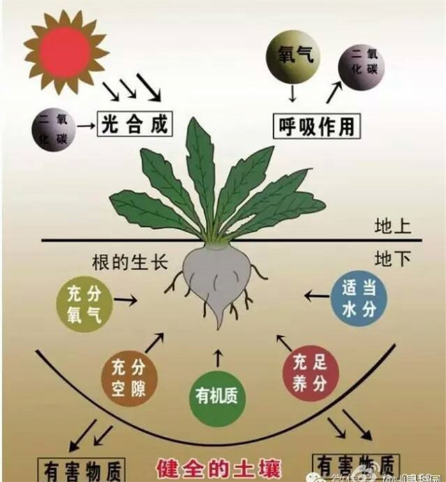 碳氢科学1200问之007组：从土壤物质到土壤成因