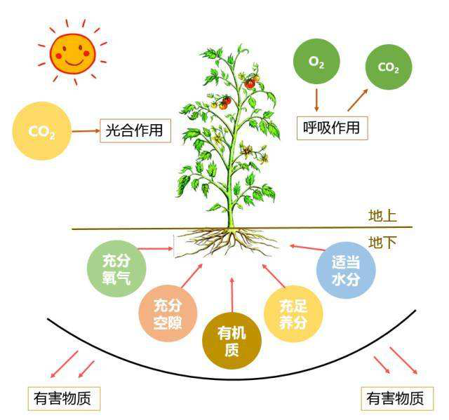 碳氢科学1200问之007组：从土壤物质到土壤成因