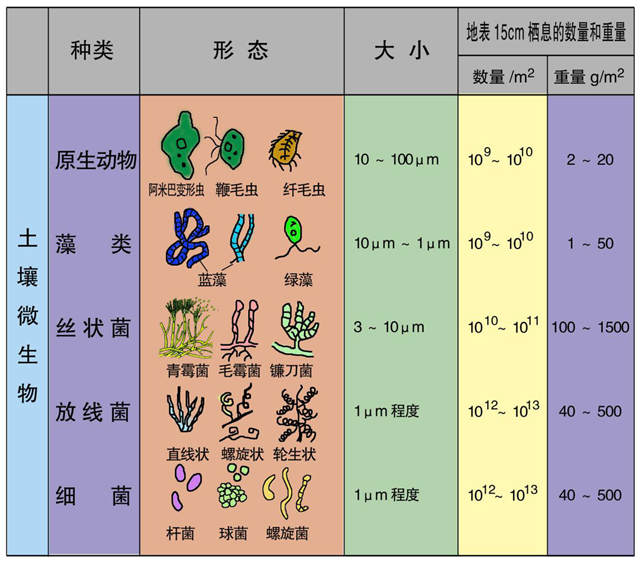 碳氢科学1200问之007组：从土壤物质到土壤成因