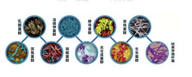 碳氢科学1200问之007组：从土壤物质到土壤成因