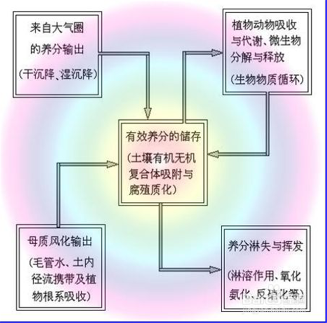 碳氢科学1200问之007组：从土壤物质到土壤成因