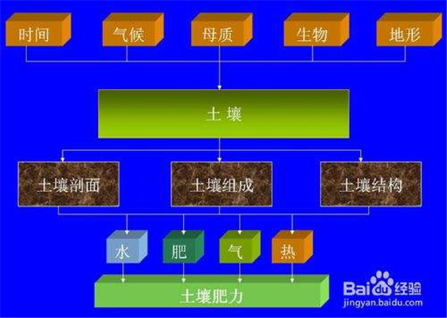 碳氢科学1200问之007组：从土壤物质到土壤成因