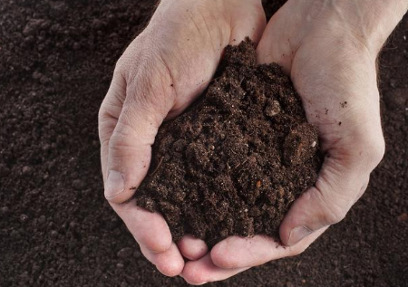 提高耕地质量为什么要用土壤调理剂？听听专家怎么说！