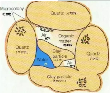 土壤板结危害大，破除板结有办法！