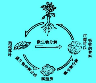 土壤有机质在人类生产中的地位